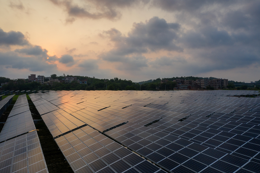 the Solar panels on the lawn